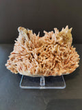 Red Mordenite with Stilbite Specimen 1,261g