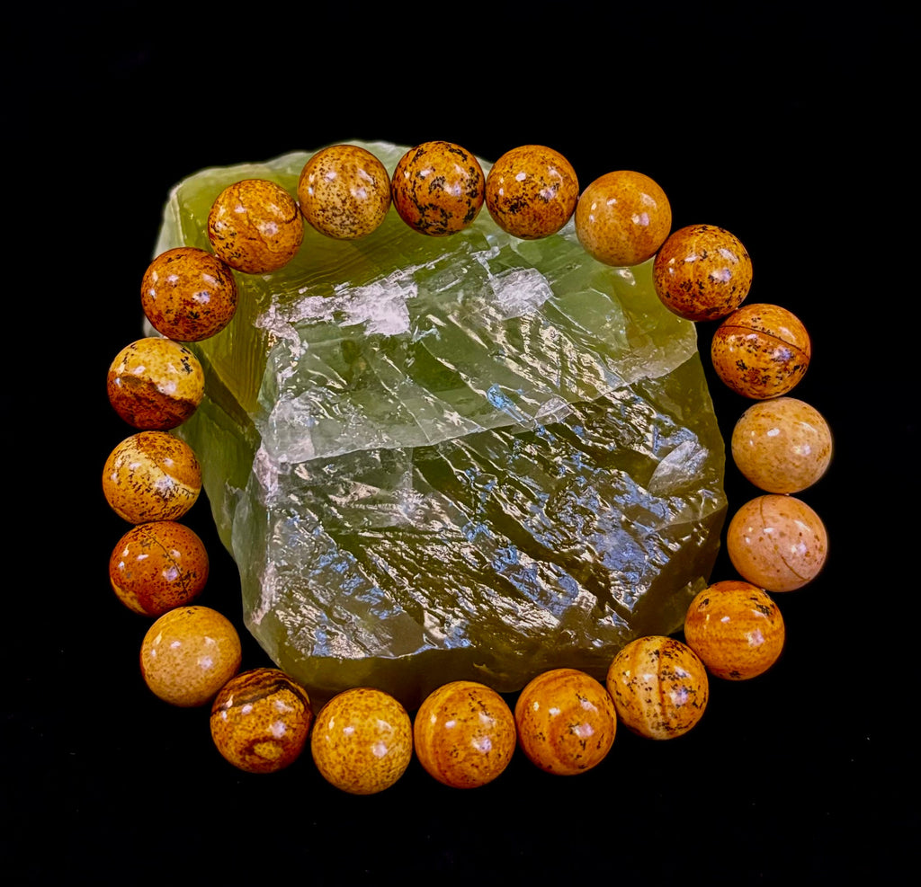 Earth Journey Picture Jasper Bracelet – Reiki-Infused 10mm (Medium–Large Wrists)