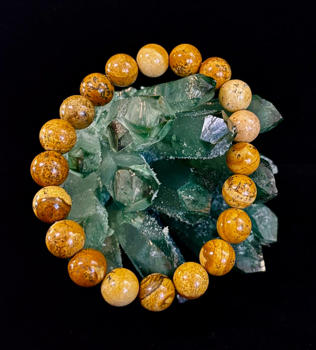 Earth Journey Picture Jasper Bracelet – Reiki-Infused 10mm (Medium–Large Wrists)