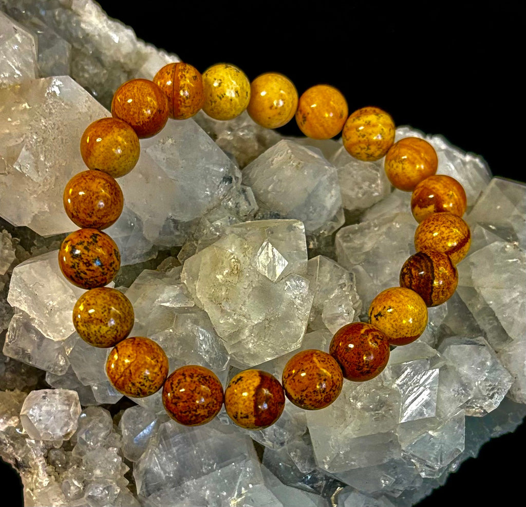 Earth Journey Picture Jasper Bracelet – Reiki-Infused 10mm (Medium–Large Wrists)