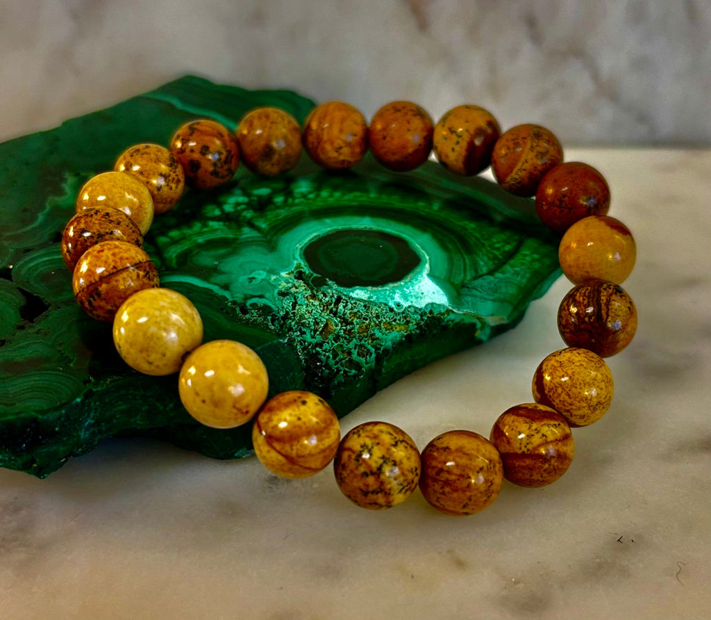 Earth Journey Picture Jasper Bracelet – Reiki-Infused 10mm (Medium–Large Wrists)