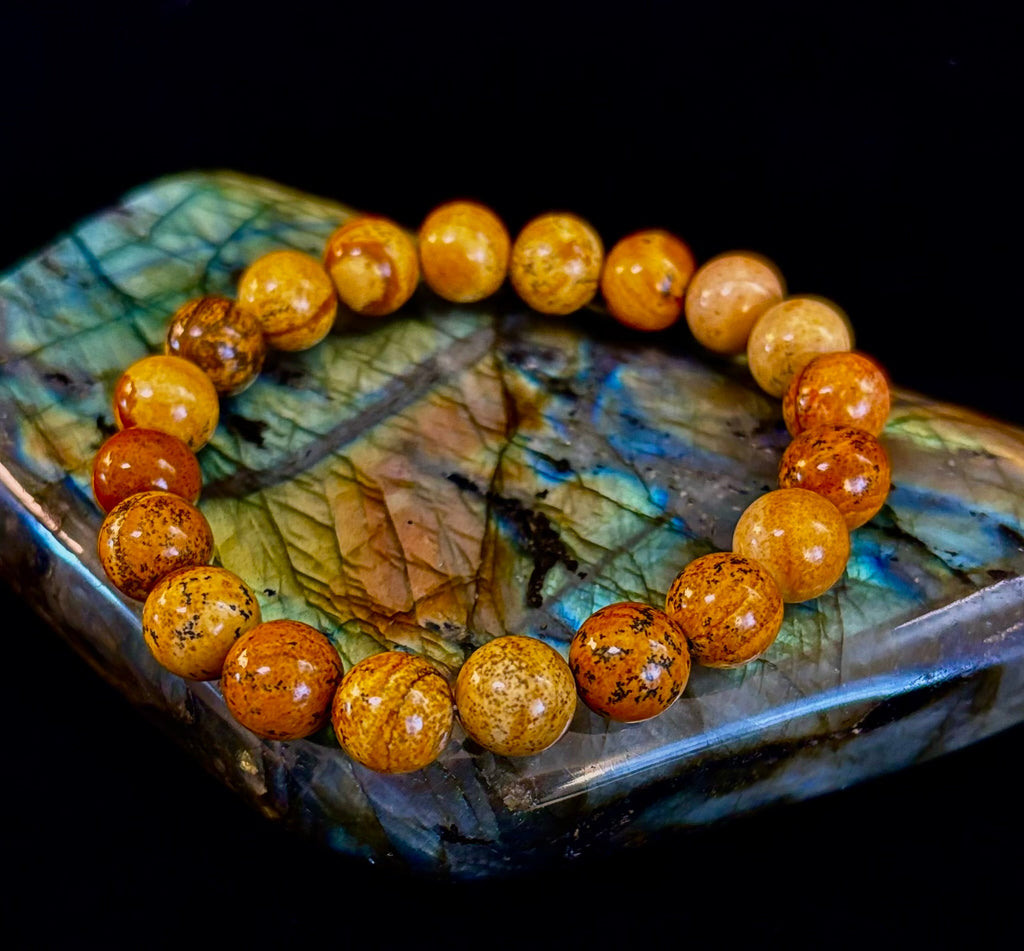 Earth Journey Picture Jasper Bracelet – Reiki-Infused 10mm (Medium–Large Wrists)